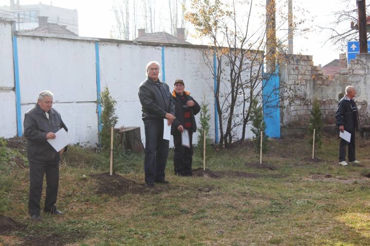 Életfa sportsikerek tiszteletére