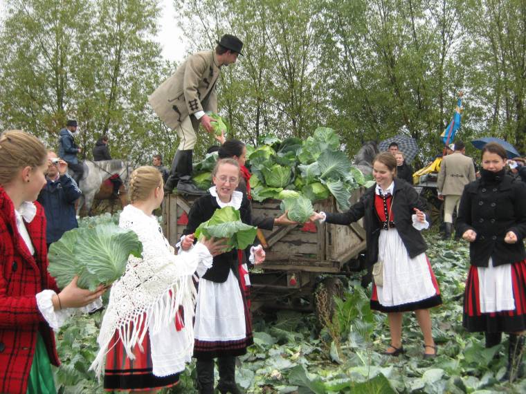 Káposztafesztiválra készül Szárhegy