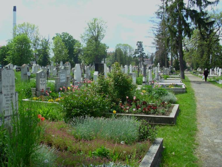 Sírról sírra ültetik a virágpalántákat