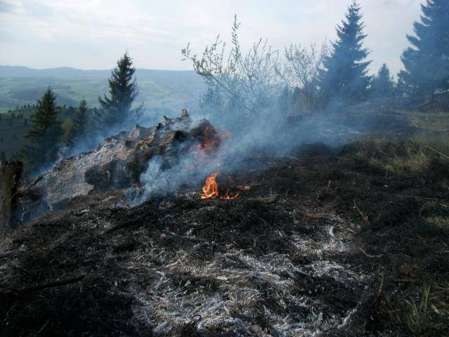 A területtulajdonost büntetik