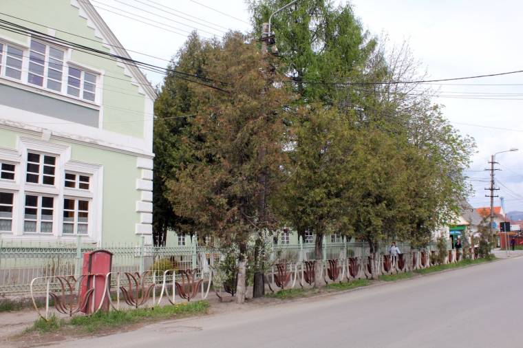 Sorfaültetésre készítik elő a terepet