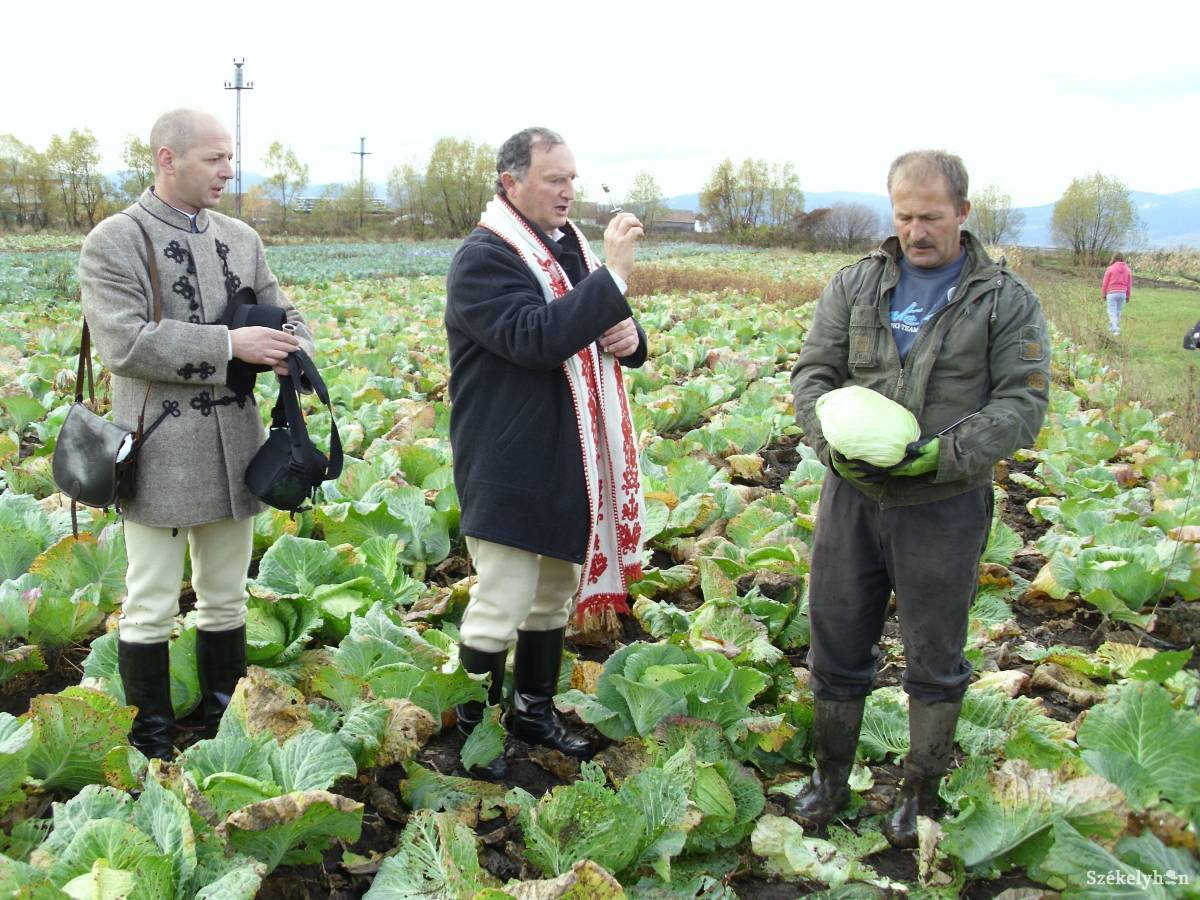 &bullet;  Fotó: Baricz-Tamás Imola