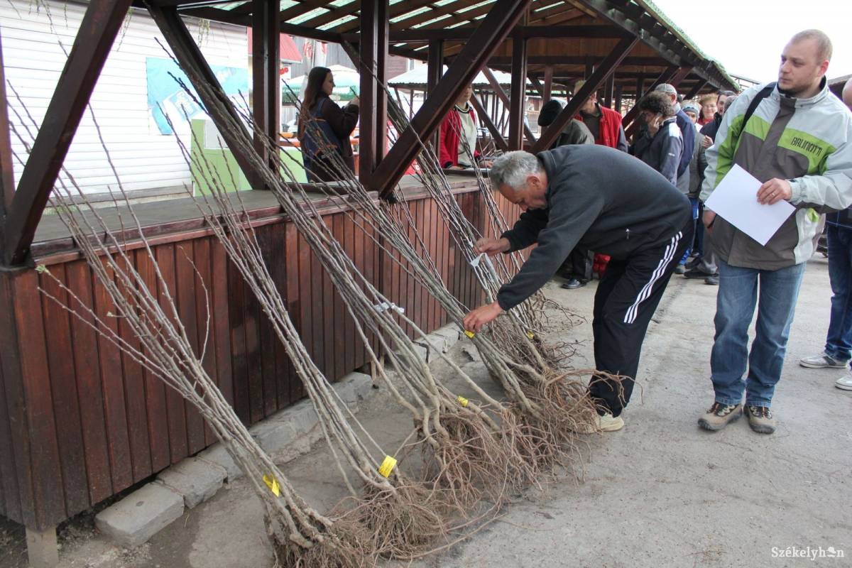 &bullet;  Fotó: Pethő Melánia