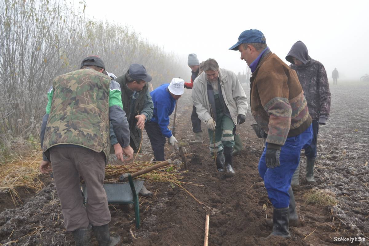 &bullet;  Fotó: Balázs Katalin