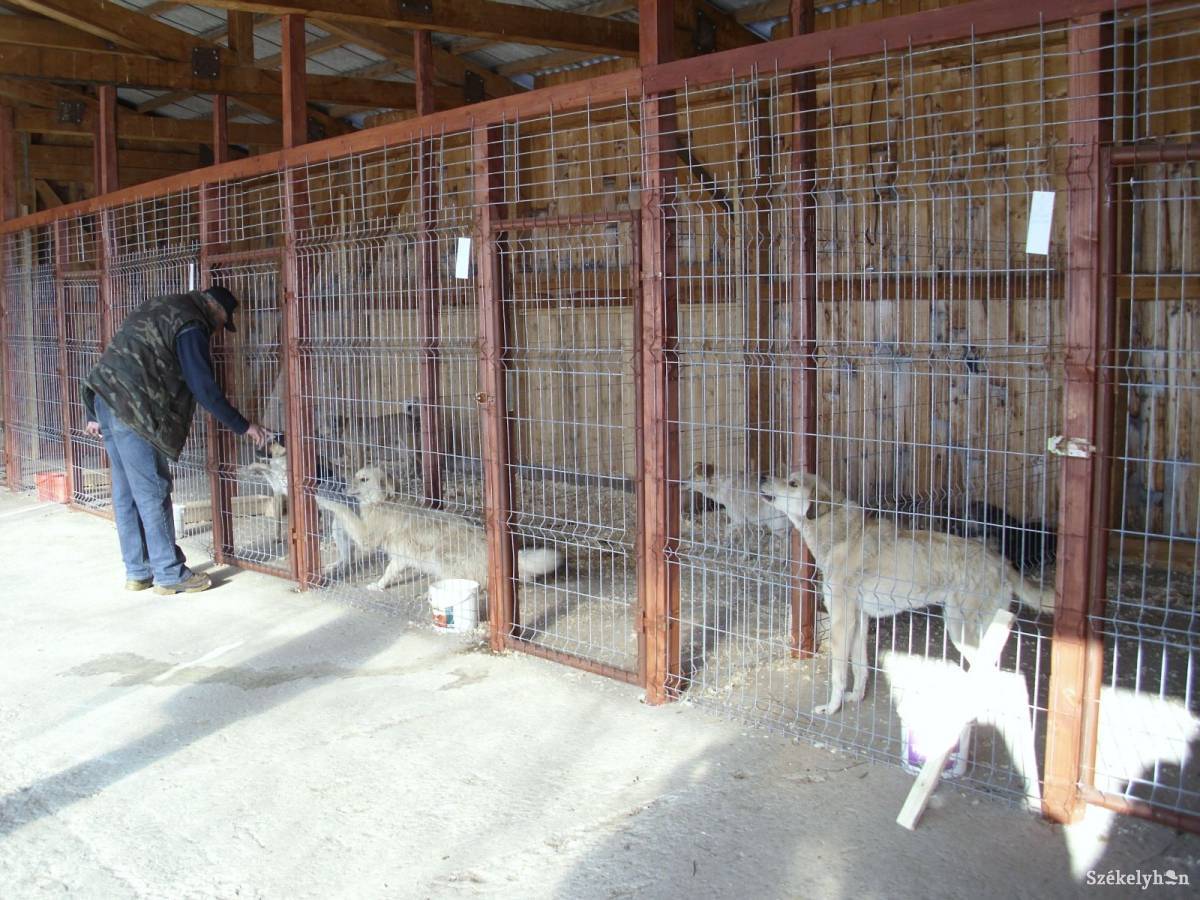 &bullet;  Fotó: Baricz Tamás Imola