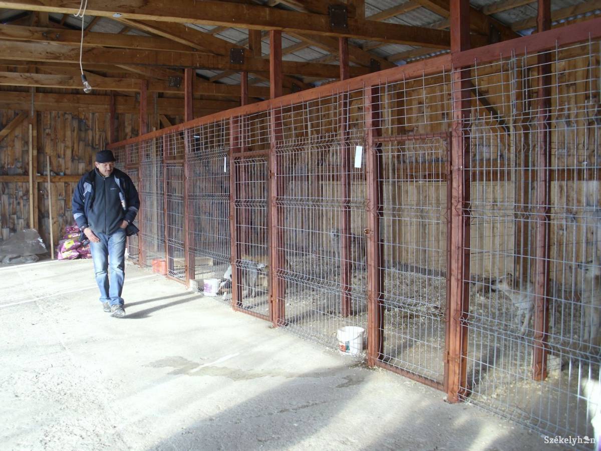 &bullet;  Fotó: Baricz Tamás Imola