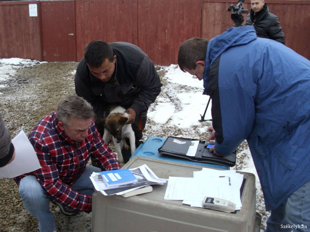 &bullet;  Fotó: Baricz Tamás Imola