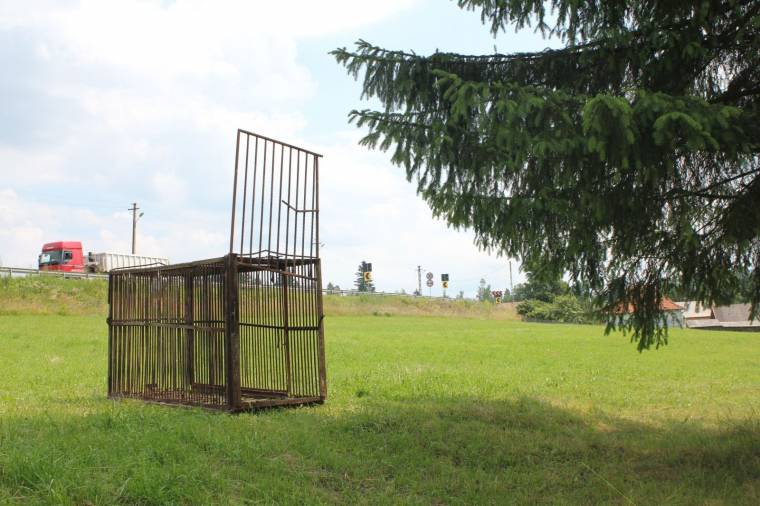 Medve tartja rettegésben a marosfőieket