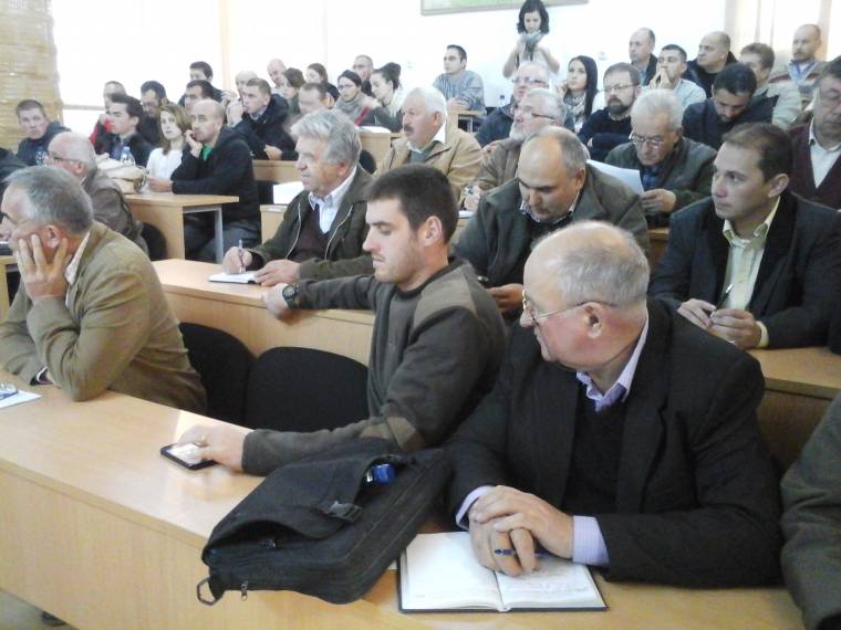 A kutyaprobléma megoldásának lépései