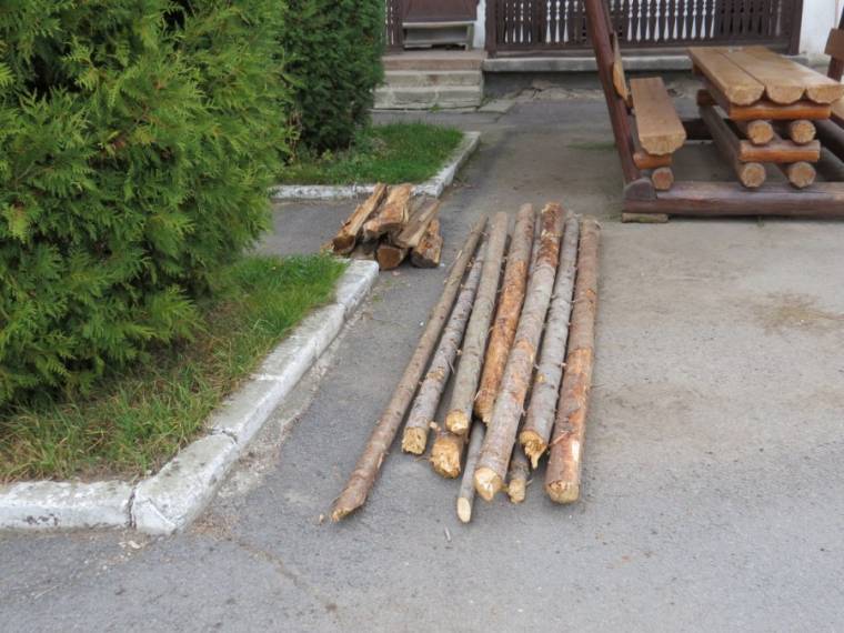 Rendőrségi túlkapásnak tekinti Árus a tűzifa elkobzását