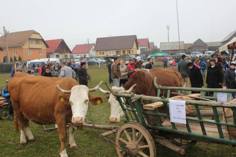 Régi mesterségeket is felidéztek a gyergyóremetei gazdanapon
