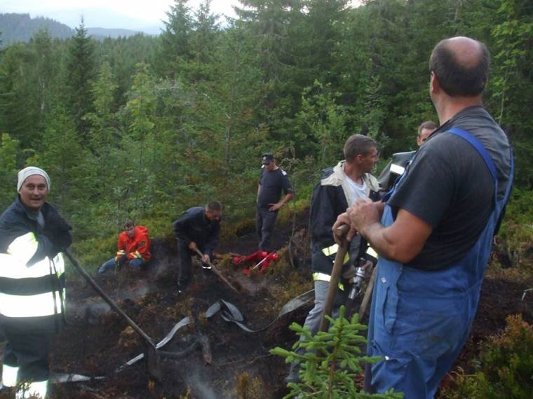 Közel három köbméter fa égett el a délhegyi tűzben
