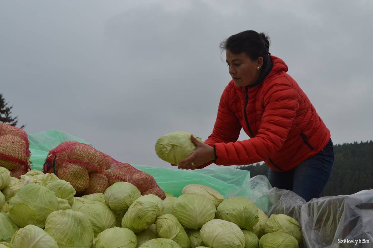 &bullet;  Fotó: Balázs Katalin