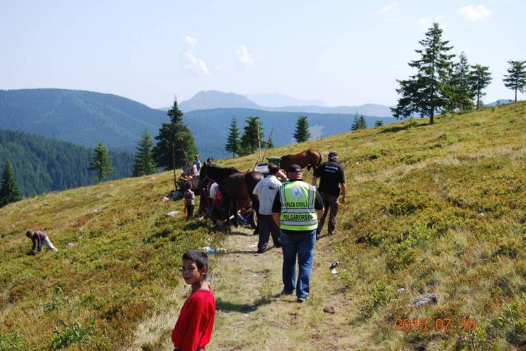 Sok a panasz az erdeigyümölcs-gyűjtőkre