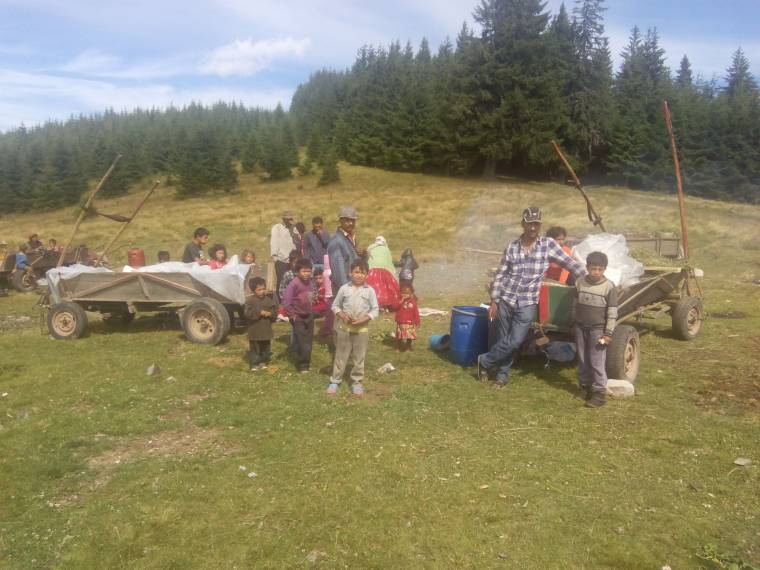 Razzia bírsággal, áfonyaelkobzással