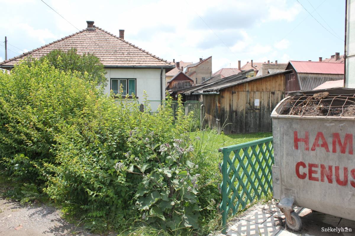 &bullet;  Fotó: Baricz Tamás Imola