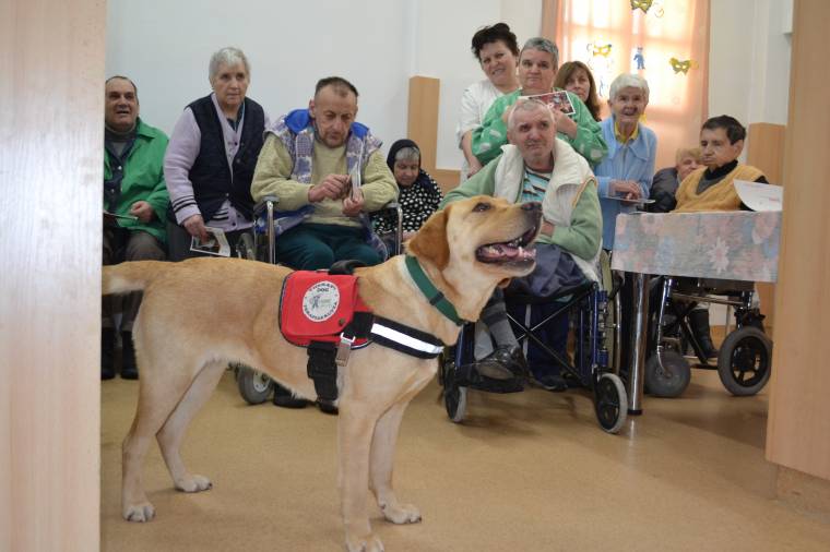 Ajándék előadás és gyógyulási remény a betegek napján