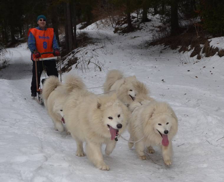 Kutyaugatás verte fel Gyilkostó csendjét