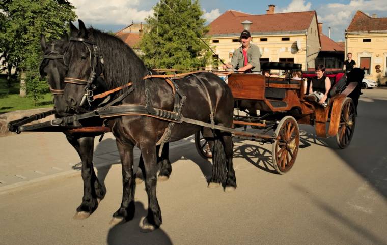 46 nyertes pályázat a Leader programban