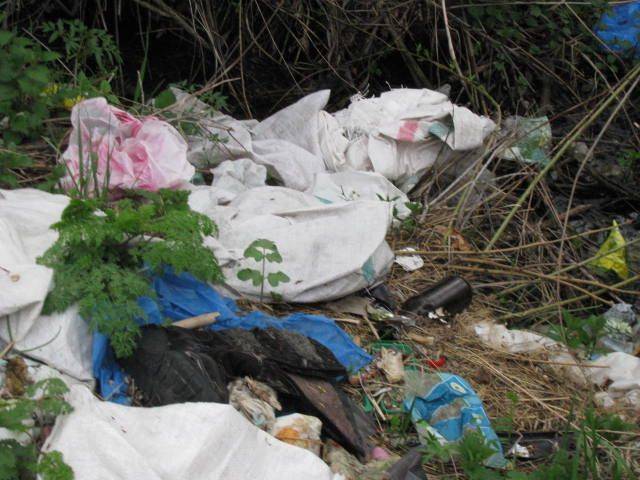 Gyergyószentmiklósi polgárőrség: felszámolnák a szeméthalmokat