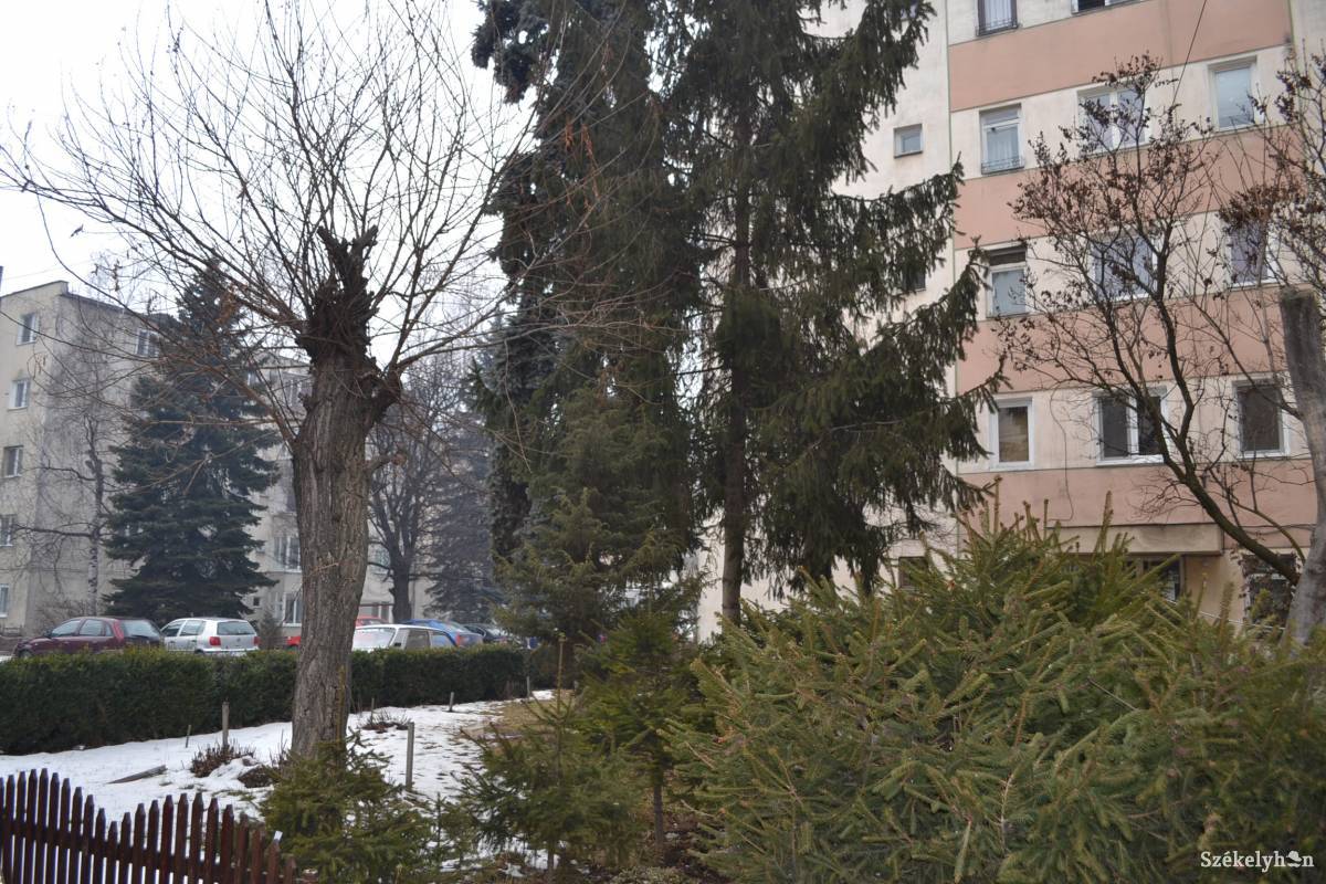 &bullet;  Fotó: Balázs Katalin