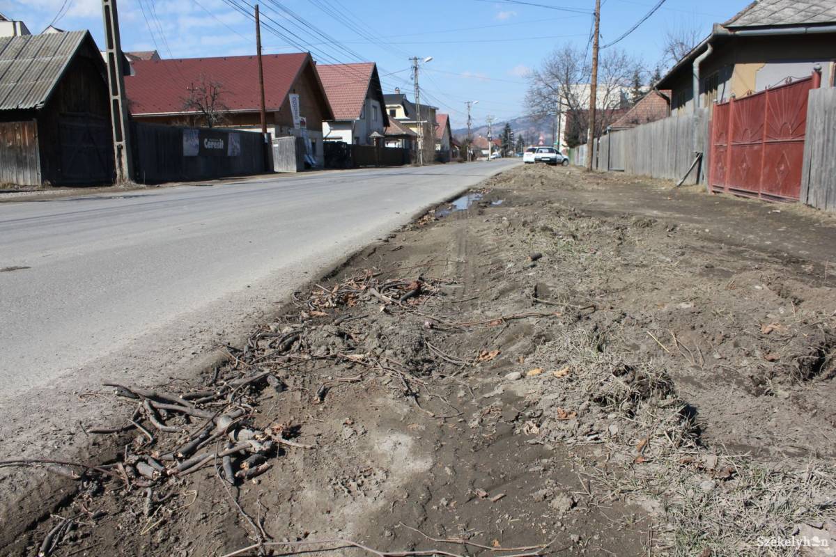 &bullet;  Fotó: Pethő Melánia