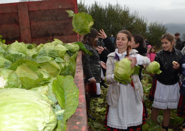 Ahol ünnep a káposztavágás – Hercegh Anita is ellátogatott Szárhegyre
