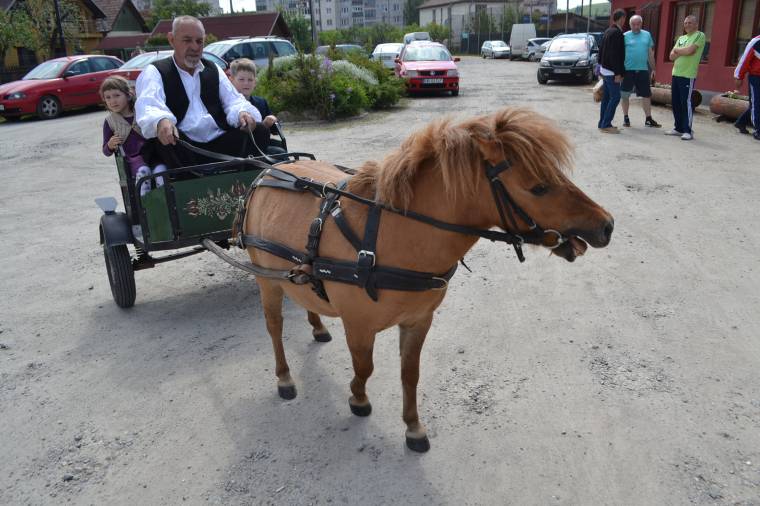Magyar művelődési napokat tartanak Maroshévízen