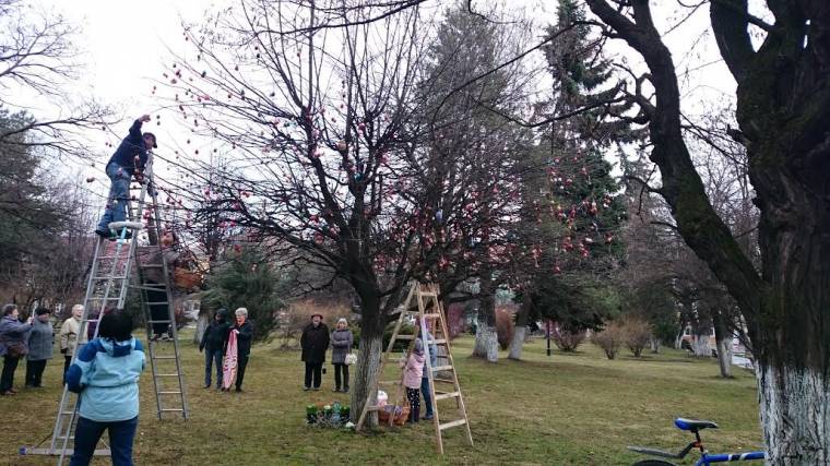 Boldogabb jövőt kíván a tojásfa