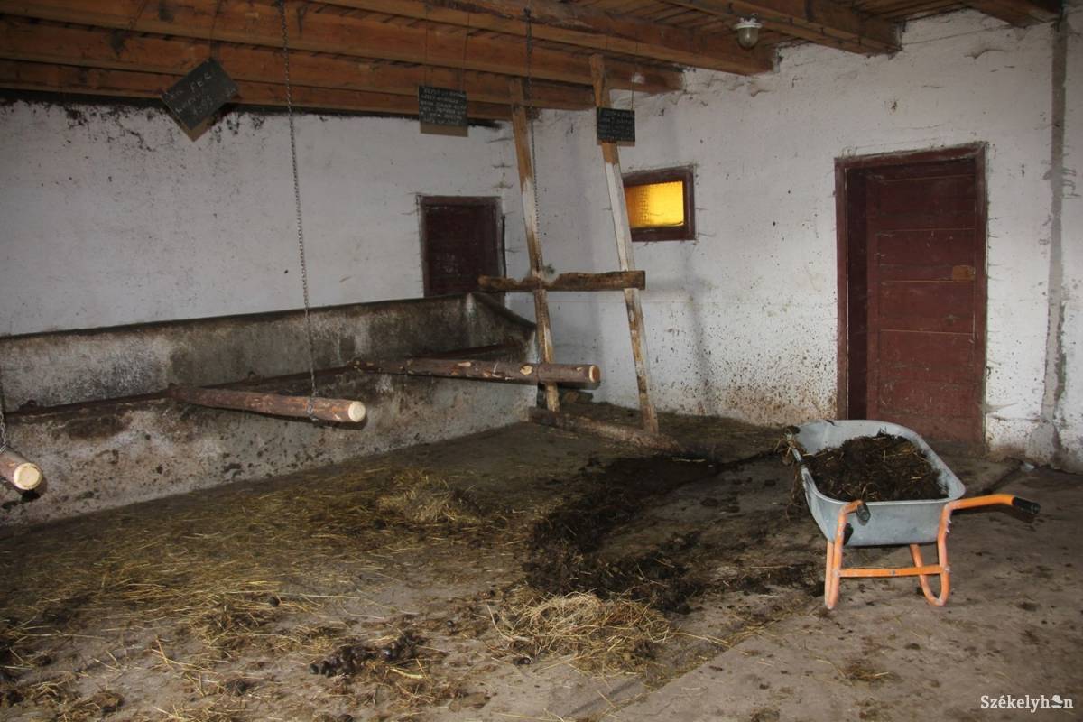 A mellékgazdaság istállójában hely lenne bőven a lovak számára •  Fotó: Balázs Katalin