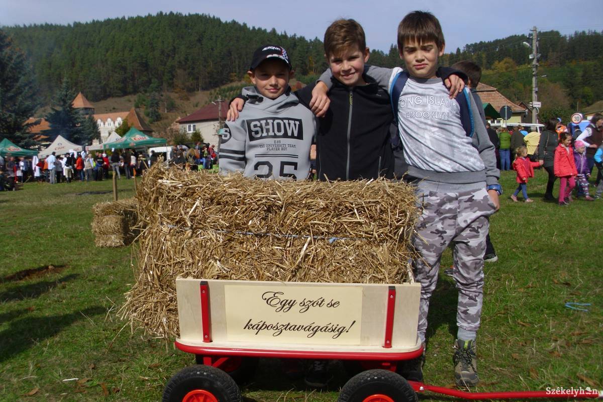 A hagyományos versenyhez új szekér dukált •  Fotó: Tamás Gyopár