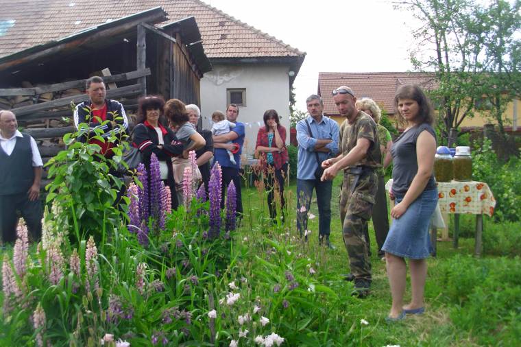 Baráék erdőkertjében senki sem maradt tanácstalan