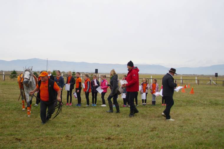 Fókuszban a csomafalvi lovassport