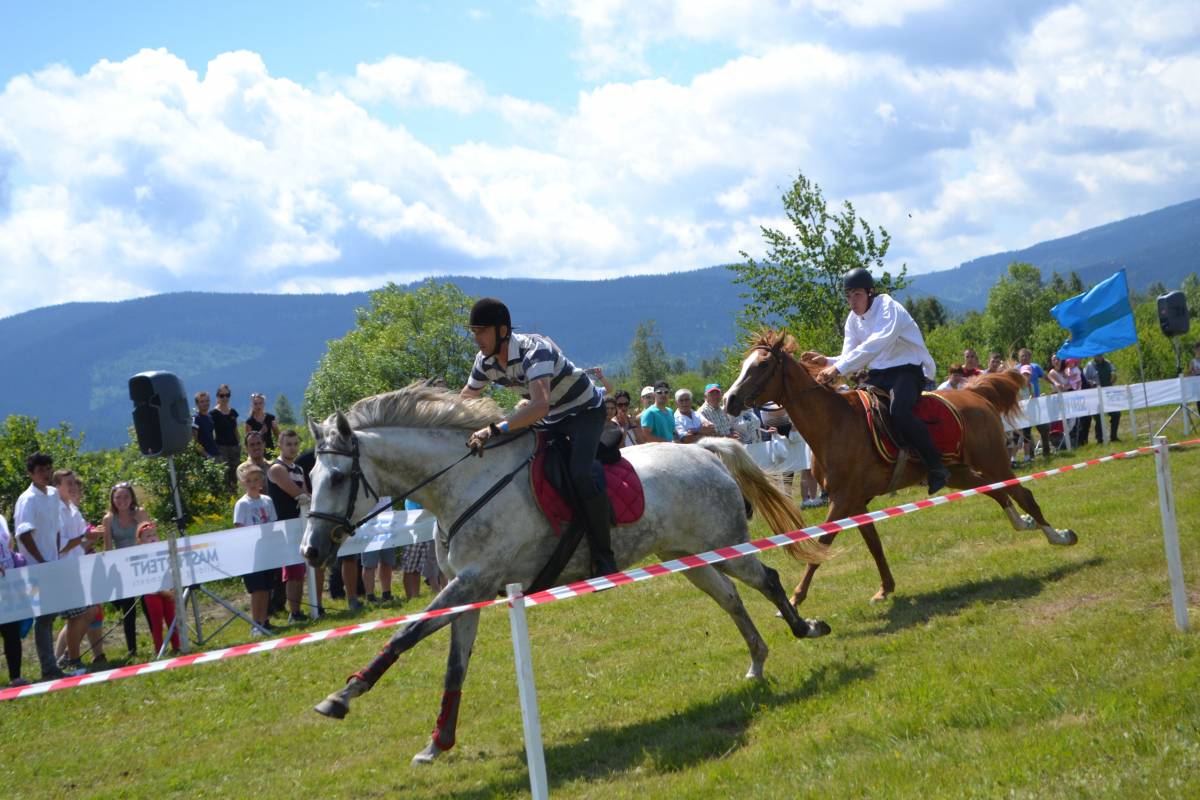 Fazakas Géza esélyeshez méltóan nyerte a sportlovas kategória vágtaversenyét •  Fotó: Gergely Imre