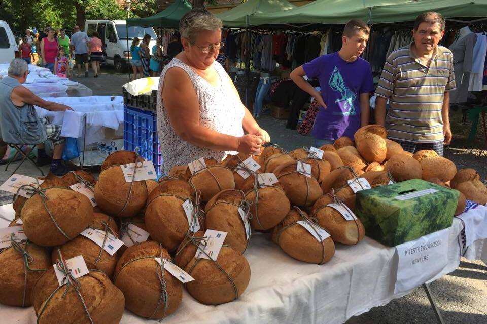 • Fotó: Gáborné Hegyesi Edit