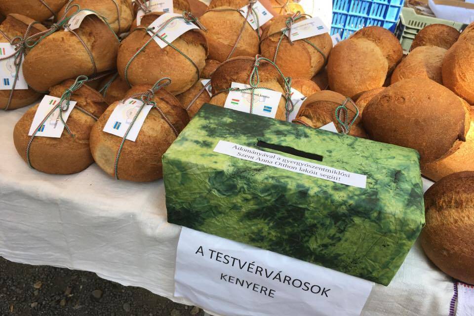 &bullet;  Fotó: Gáborné Hegyesi Edit