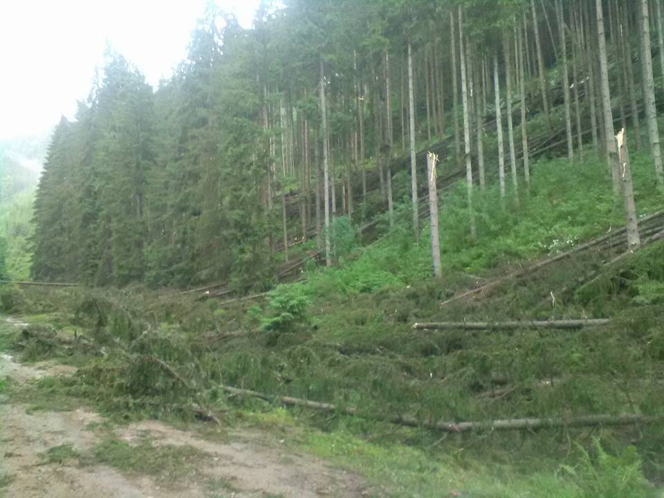 •  Fotó: Gál-Pál László