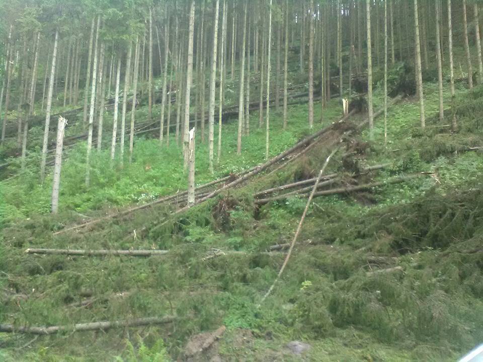 •  Fotó: Gál-Pál László