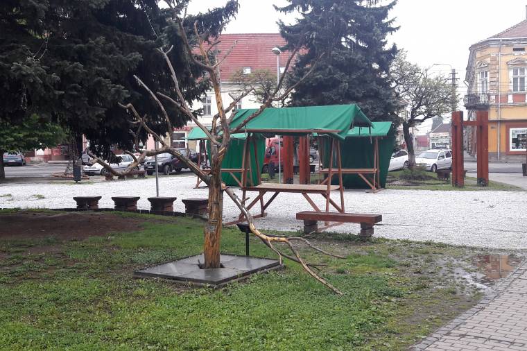 Vandalizmusra „emlékezhet” az emlékfa