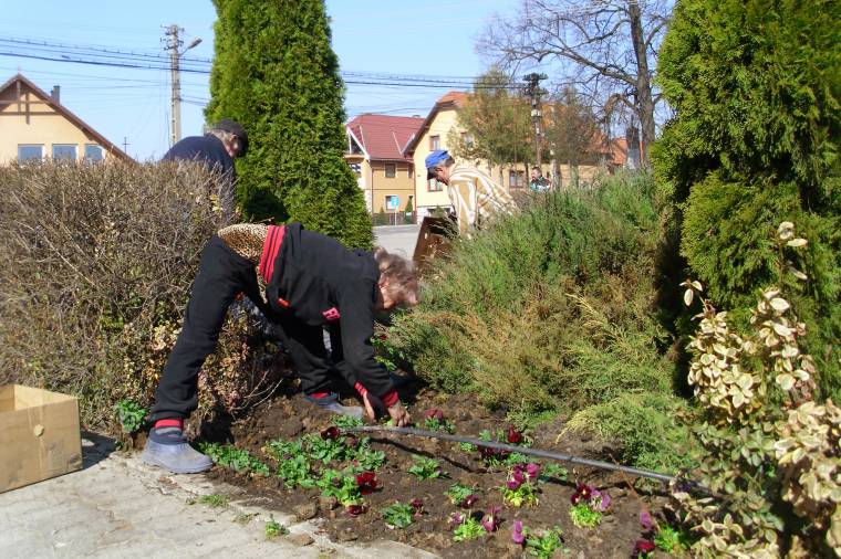 Udvarhelyen tanácskoznak a székelyföldi románok képviselői
