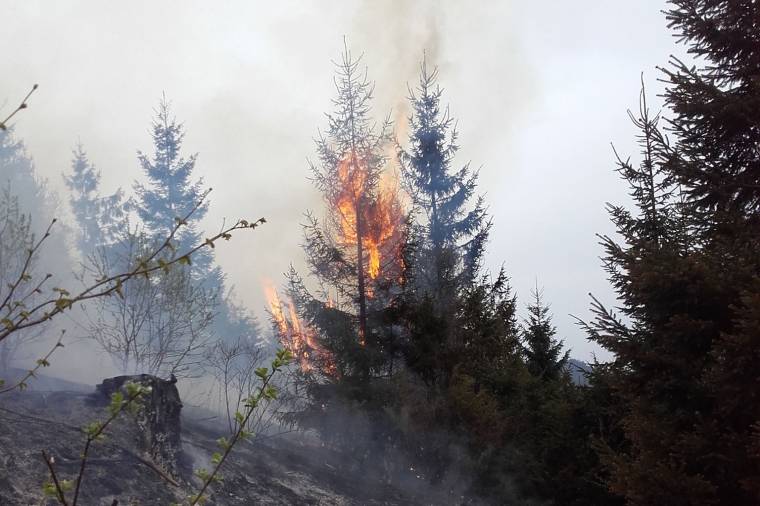 Nagy területen pusztítottak a lángok