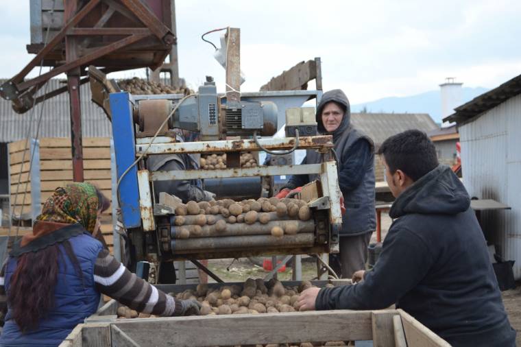 Okostraktorral dolgoznak Gyergyóban