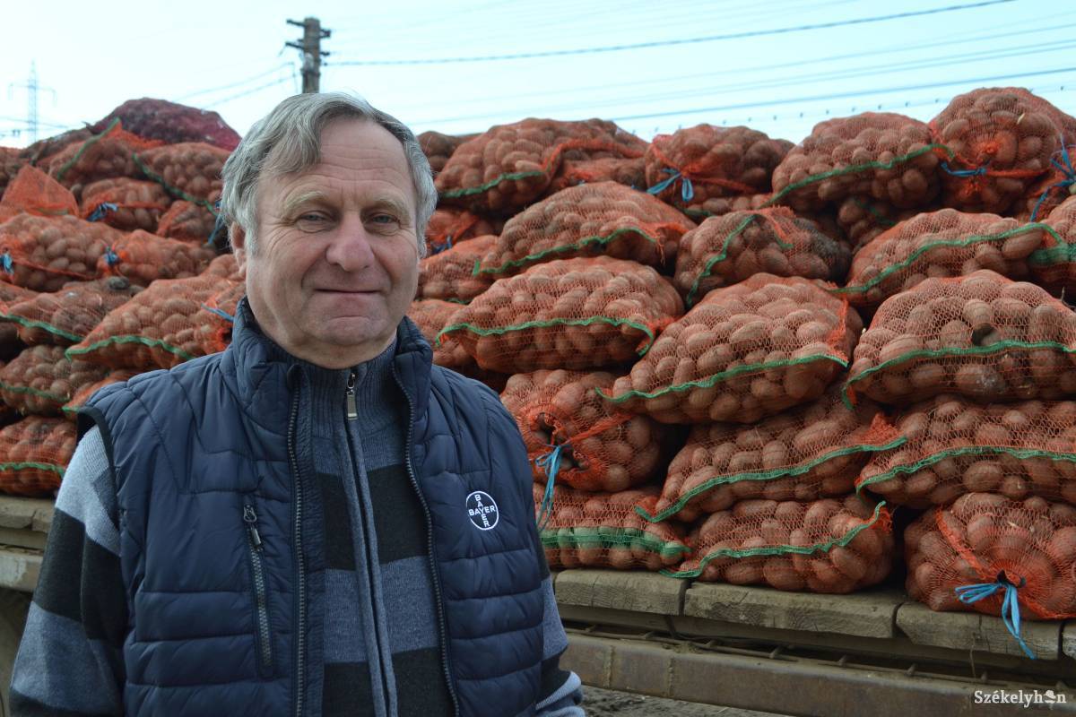 Reménnyel kezdi a mezőgazdasági idényt az Agromec Rt. igazgatója &bullet;  Fotó: Balázs Katalin