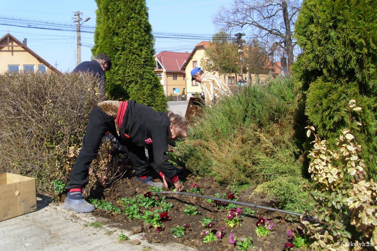 Szépül Gyergyócsomafalva központja •  Fotó: Tamás Gyopár