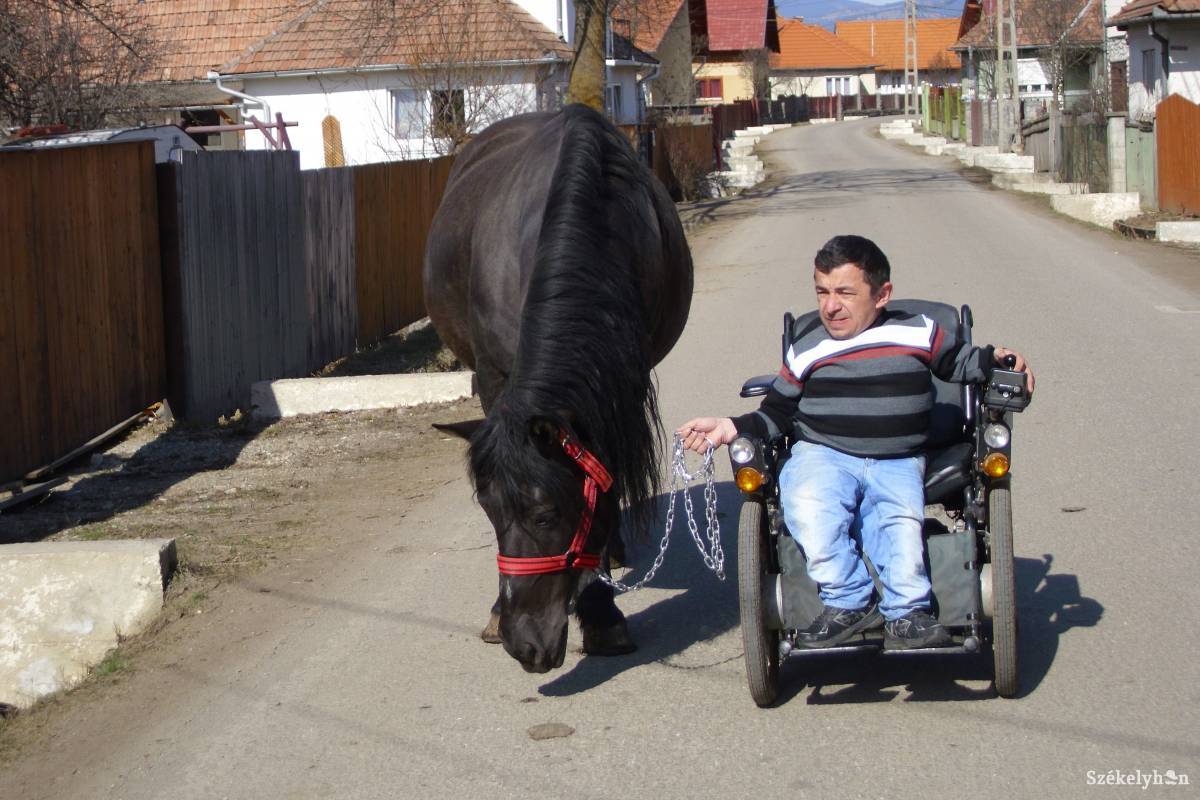 Kancájának sétára van szüksége •  Fotó: Tamás Gyopár