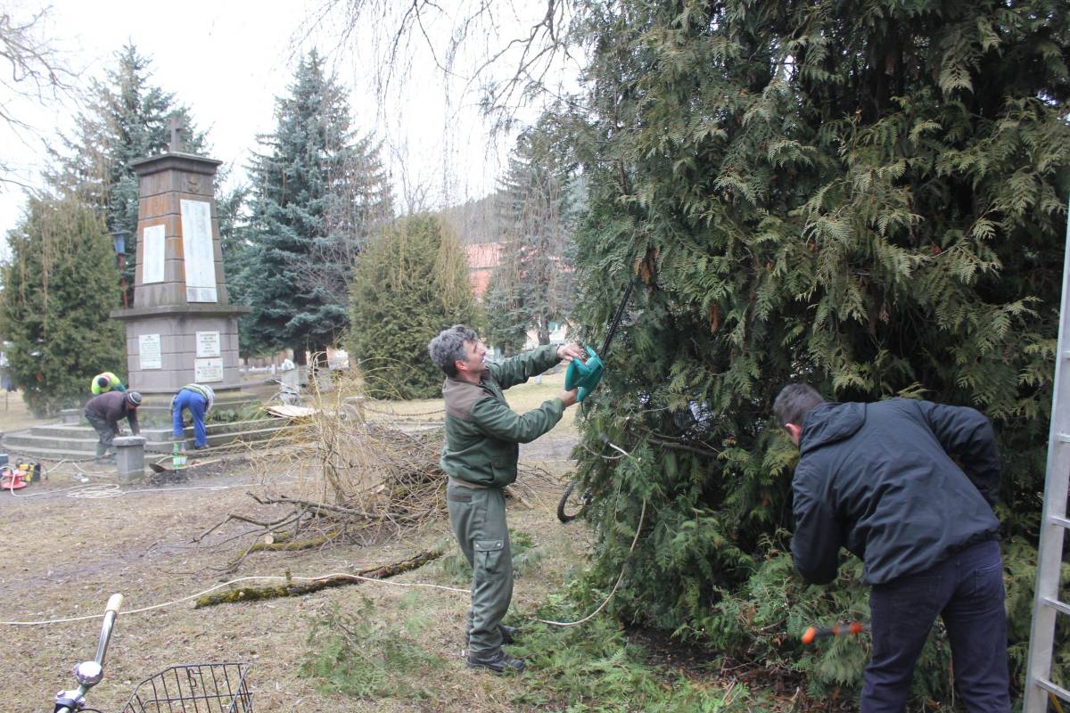 Lenyesték a fölösleges ágakat a központi park fáiról •  Fotó: Gergely Imre