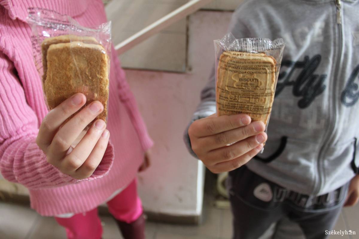 •  Fotó: Baricz Tamás Imola