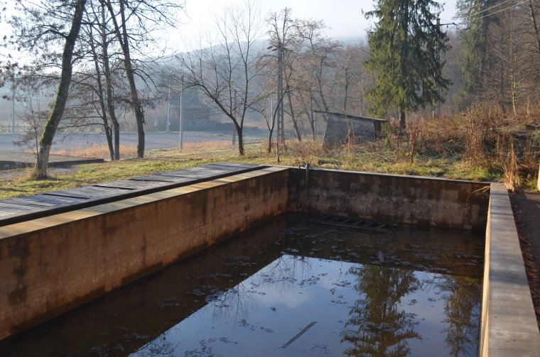 Semseyné bugyogója Málnásfürdőn
