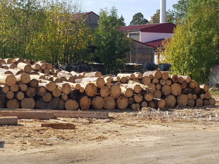 Nincs ingyen a téli tüzelő a gyergyószentmiklósi fatelepen