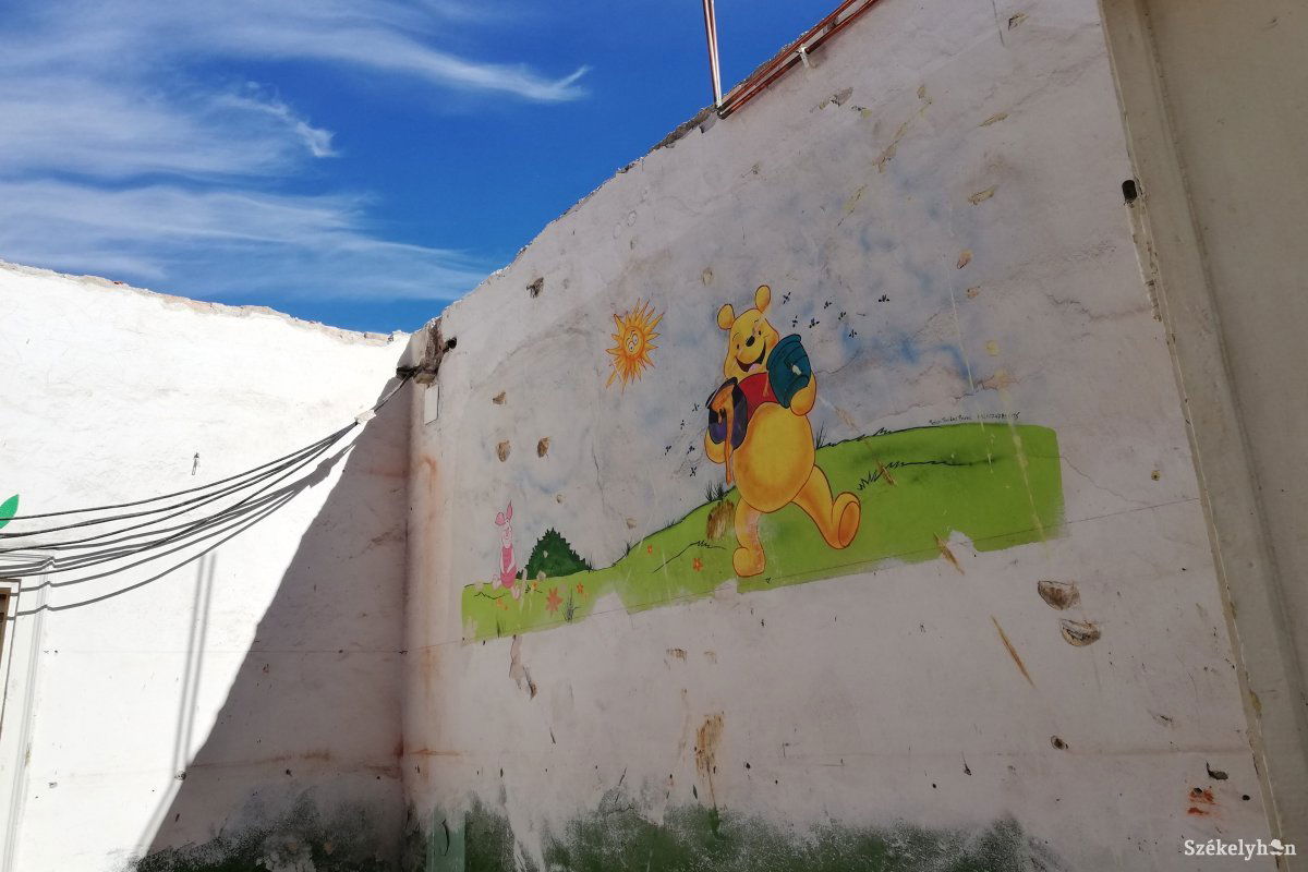 •  Fotó: Pethő Melánia